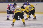 Eisbären empfangen Hornets