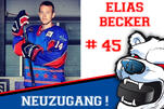 Elias Becker wird ganzer Eisbär