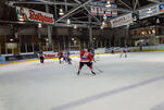 Eisbären verpassen Sieg in Freiburg