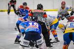 Eisbären empfangen Rhinos