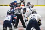 LL: Eisbären reisen nach Stuttgart