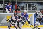 Eisbären stürzen den Tabellenführer