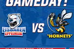 Eisbären empfangen Hornets