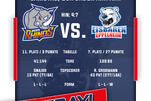 Eisbären als Partycrasher
